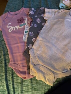Gerber Pink, Gray & Heather Baby Bodysuit Set